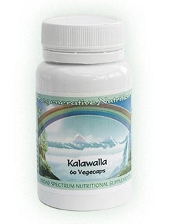 Kalawalla (Polypodium Leucotomos)