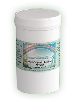 MSM Powder